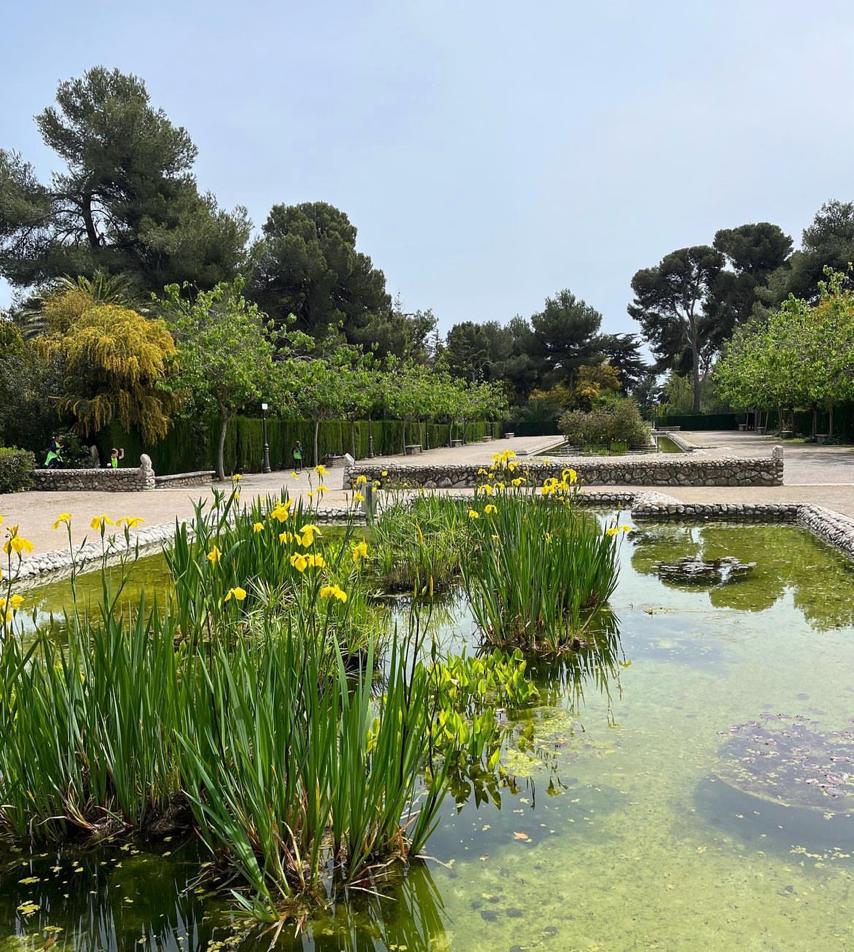 Media picture: TAULA DE VERD URBÀ DE SITGES