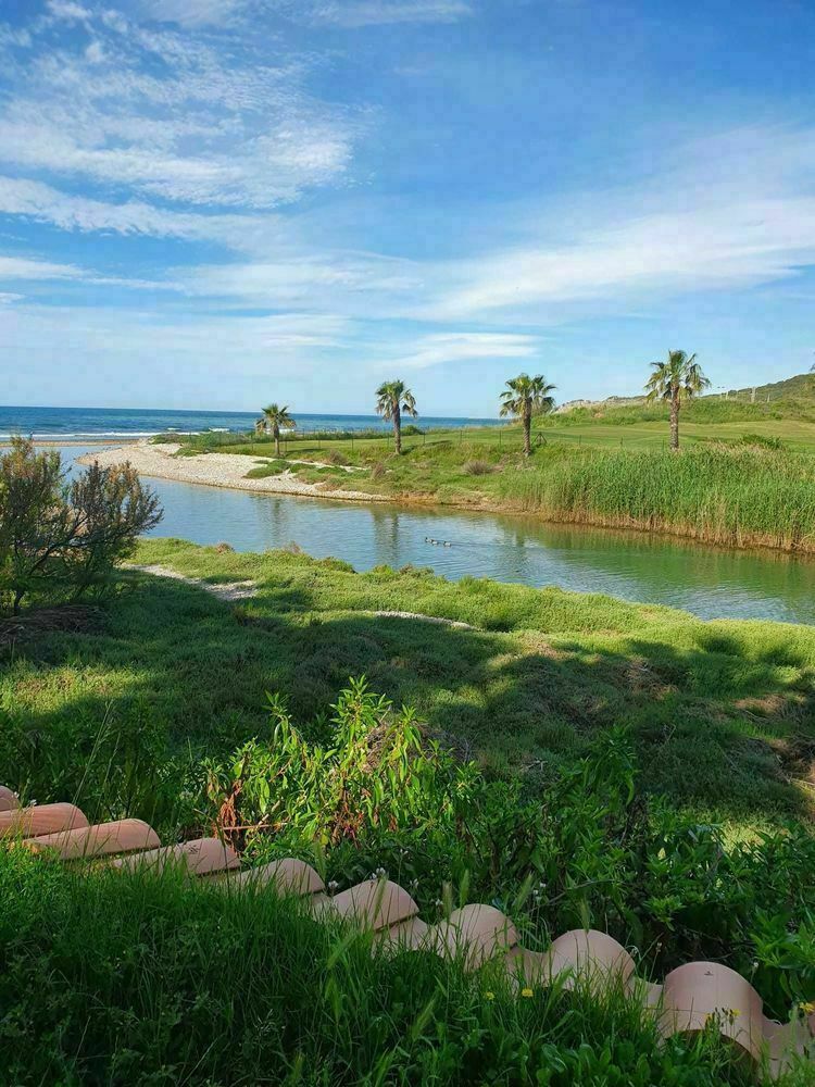 Imagen para los medios: Consejo Municipal de Medio Ambiente 